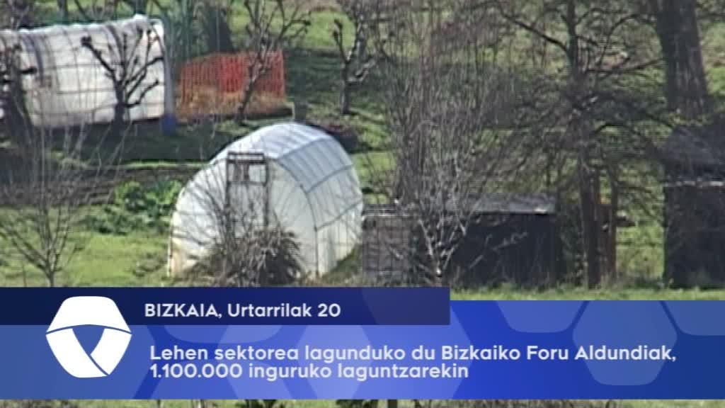 Lehen sektorea lagunduko du Bizkaiko Foru Aldundiak, 1.100.000 inguruko laguntzarekin
