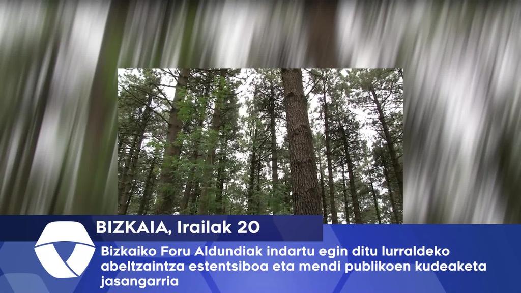 Bizkaiko Foru Aldundiak indartu egin ditu lurraldeko abeltzaintza estentsiboa eta mendi publikoen kudeaketa jasangarria