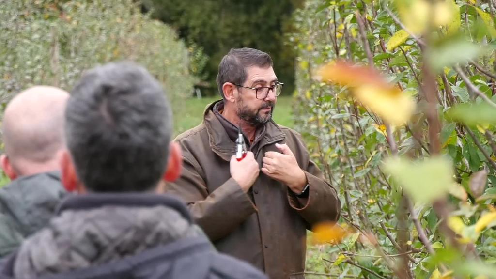 Yves Barranco adituaren eskutik fruitu-arbolen inausketa teknika berriak aztertu zituzten Oiharten