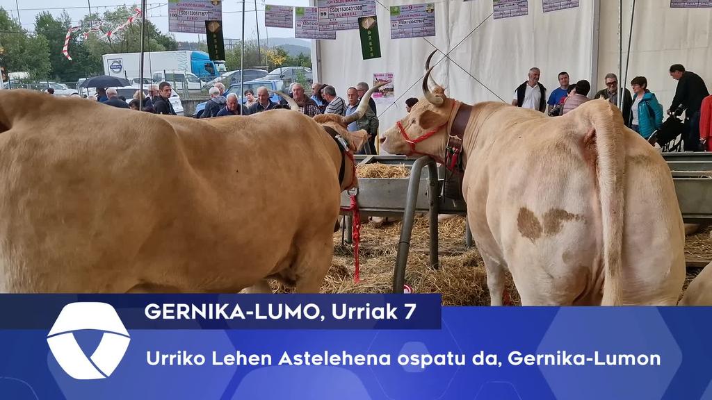 Urriko Lehen Astelehena ospatu da, Gernika-Lumon